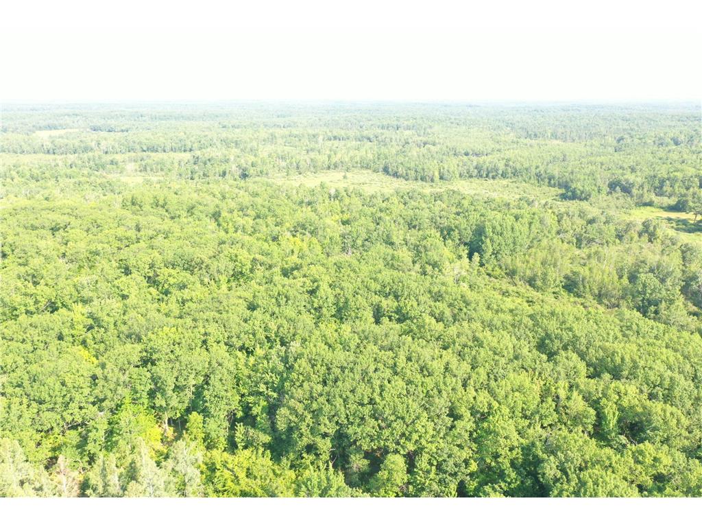 NA Condor Rd Arna Twp MN 55072 6590751 image1