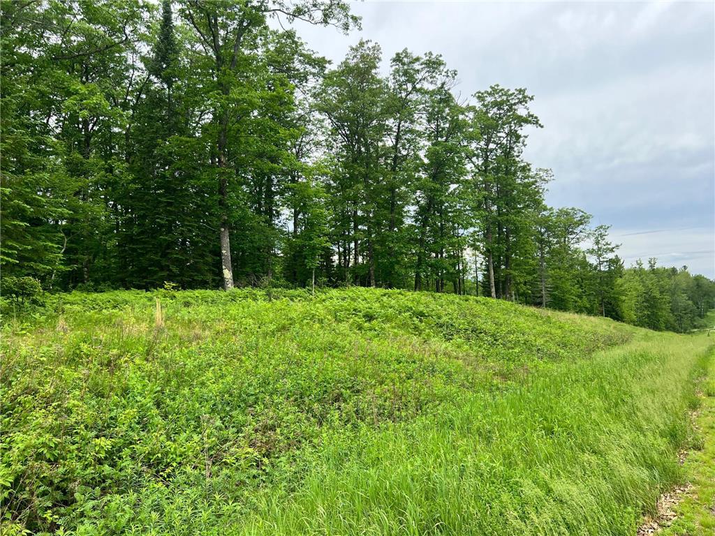 NA County Rd 104 Blackhoof Twp MN 55707 6359926 image1