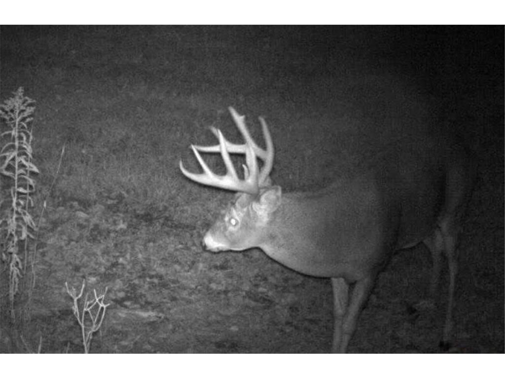 NA County Rd O Bruce WI 54819 7085847 image29