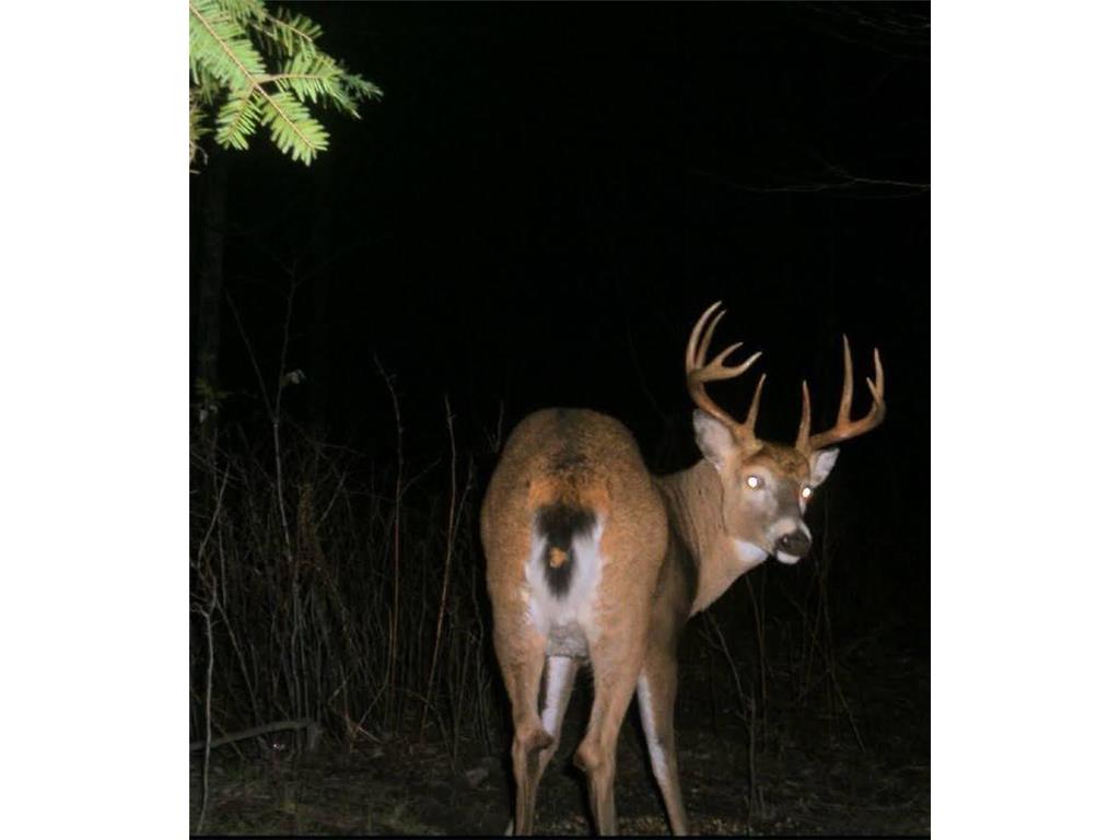 NA County Rd O Bruce WI 54819 7085847 image30