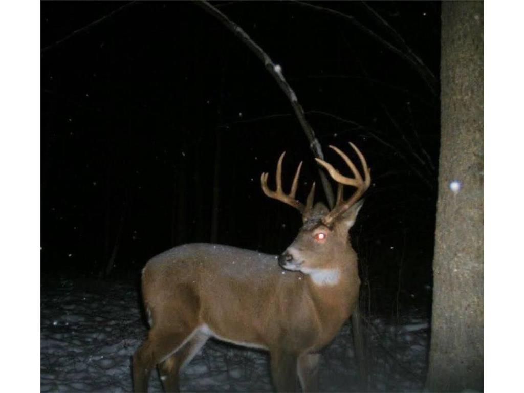 NA County Rd O Bruce WI 54819 7085847 image33