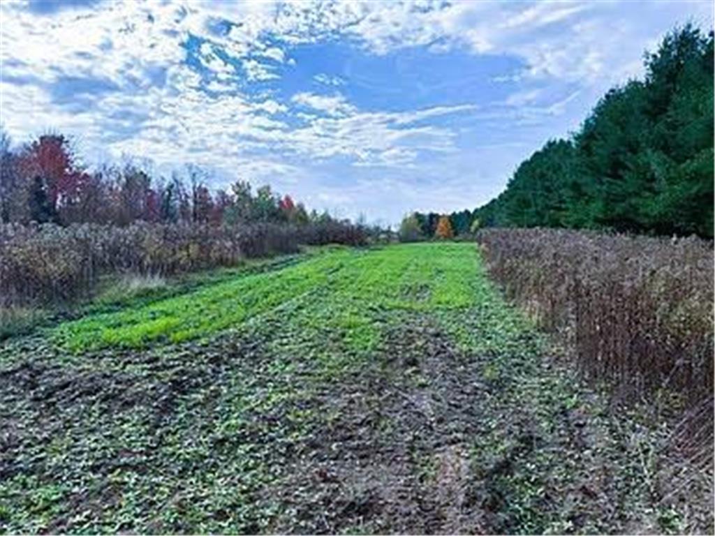 NA County Rd O Bruce WI 54819 7085847 image6