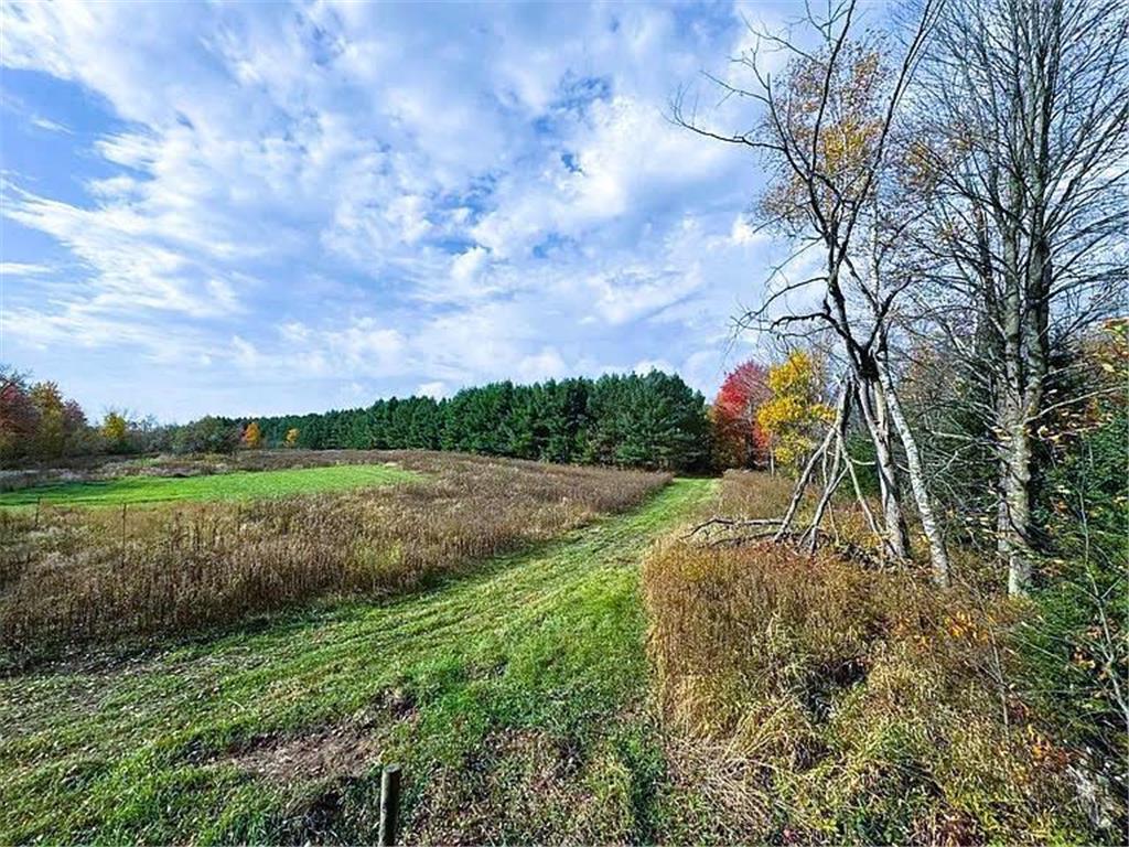 NA County Rd O Bruce WI 54819 7085847 image7