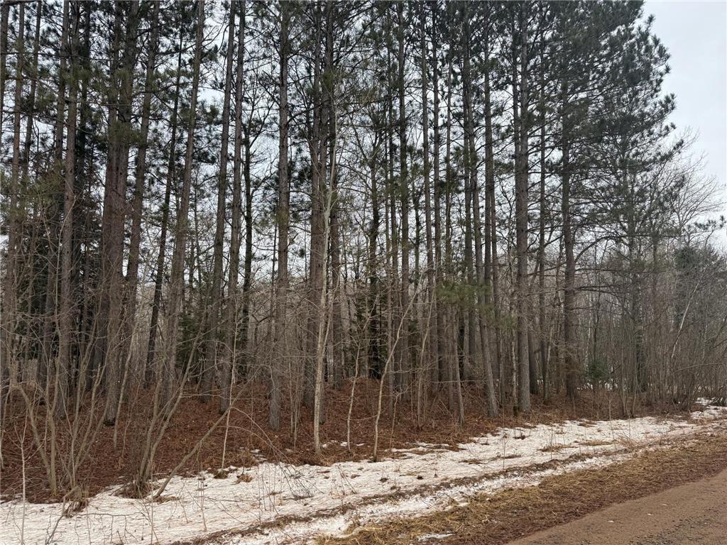 NA Friesland Dell Grove Twp MN 55037 7038854 image1