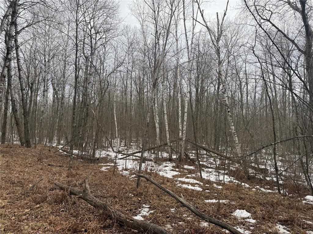 NA Friesland Dell Grove Twp MN 55037 7038854 image10