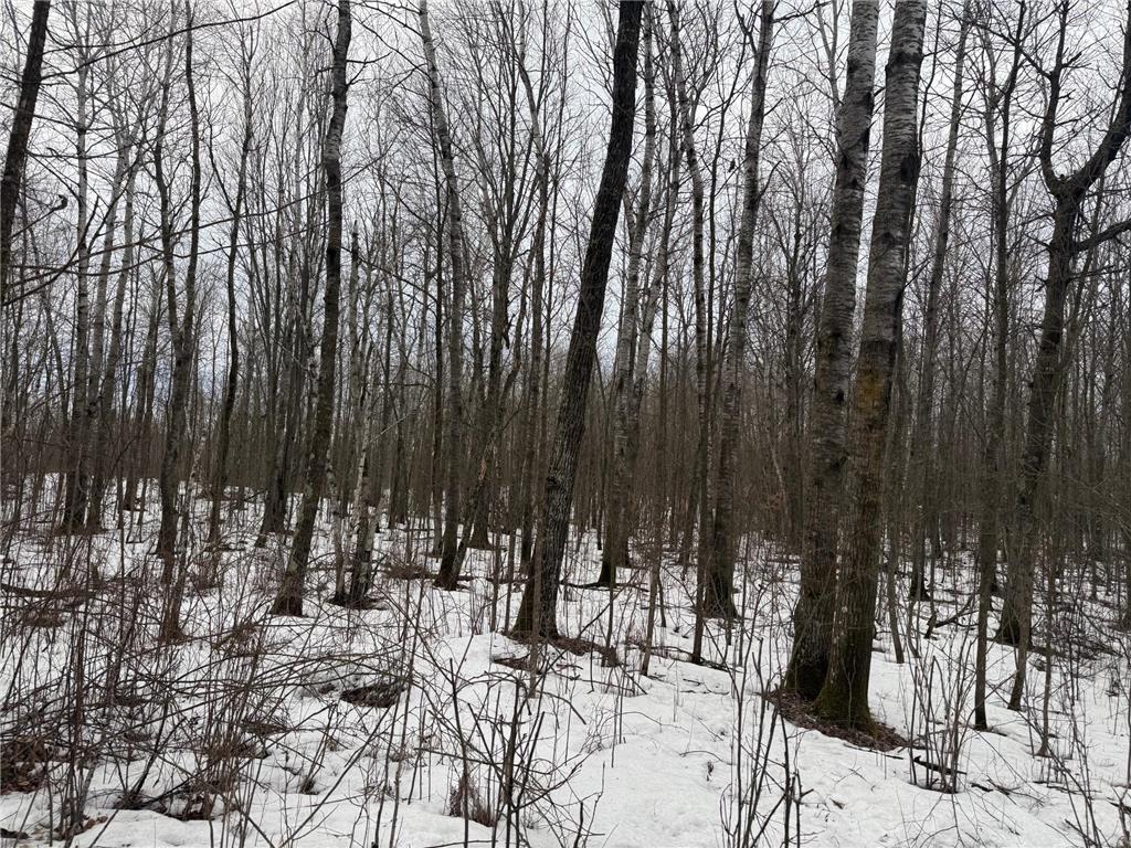 NA Friesland Dell Grove Twp MN 55037 7038854 image11