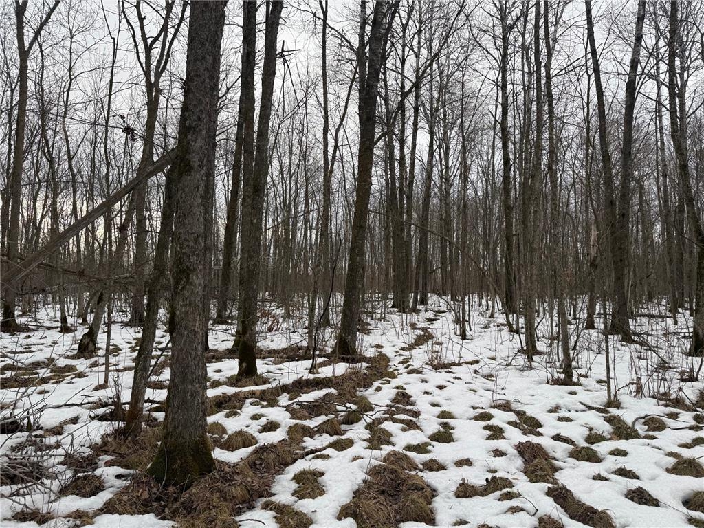 NA Friesland Dell Grove Twp MN 55037 7038854 image12