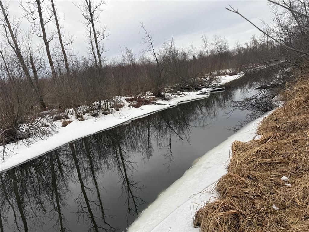 NA Friesland Dell Grove Twp MN 55037 7038854 image13