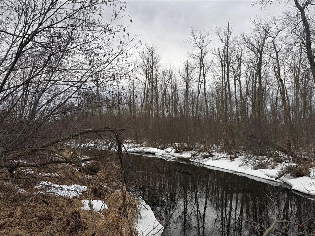 NA Friesland Dell Grove Twp MN 55037 7038854 image14