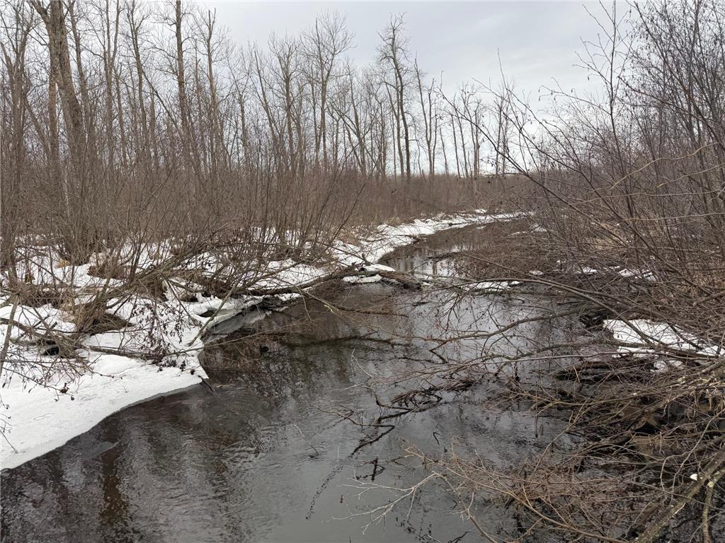 NA Friesland Dell Grove Twp MN 55037 7038854 image15