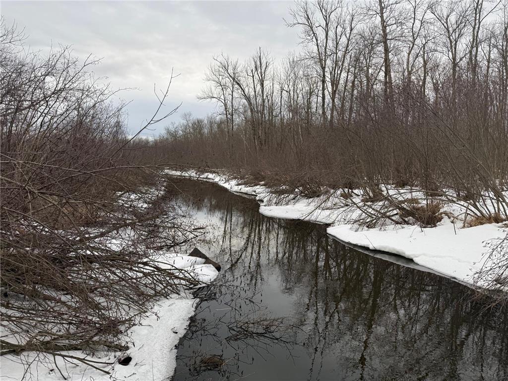 NA Friesland Dell Grove Twp MN 55037 7038854 image16