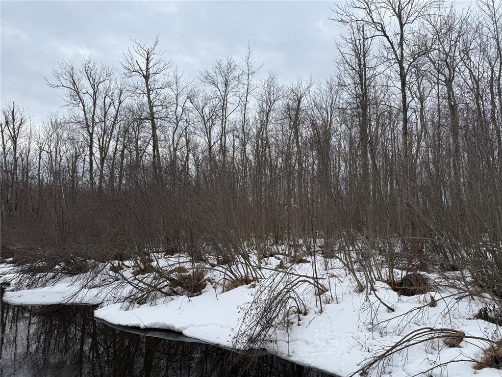 NA Friesland Dell Grove Twp MN 55037 7038854 image17