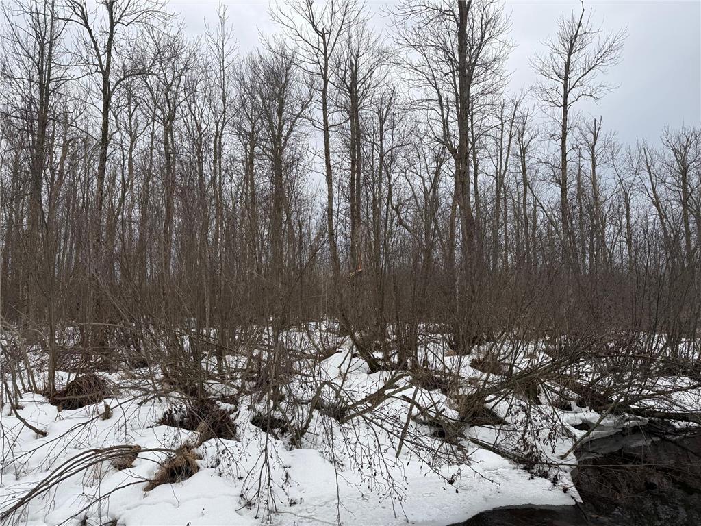 NA Friesland Dell Grove Twp MN 55037 7038854 image18