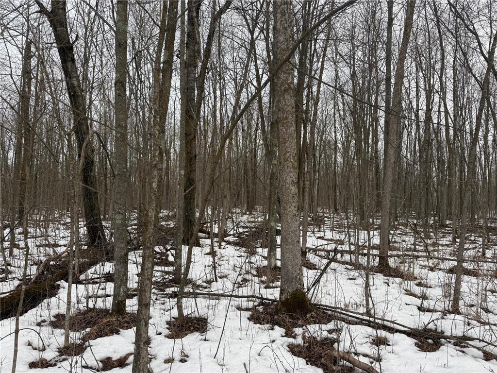 NA Friesland Dell Grove Twp MN 55037 7038854 image19