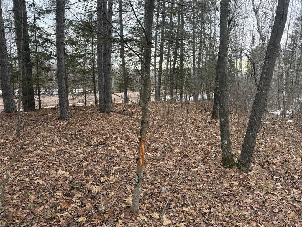 NA Friesland Dell Grove Twp MN 55037 7038854 image2