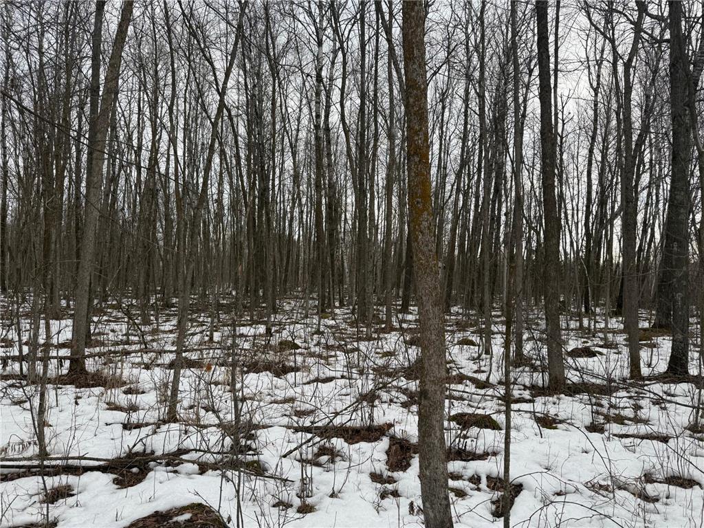NA Friesland Dell Grove Twp MN 55037 7038854 image20