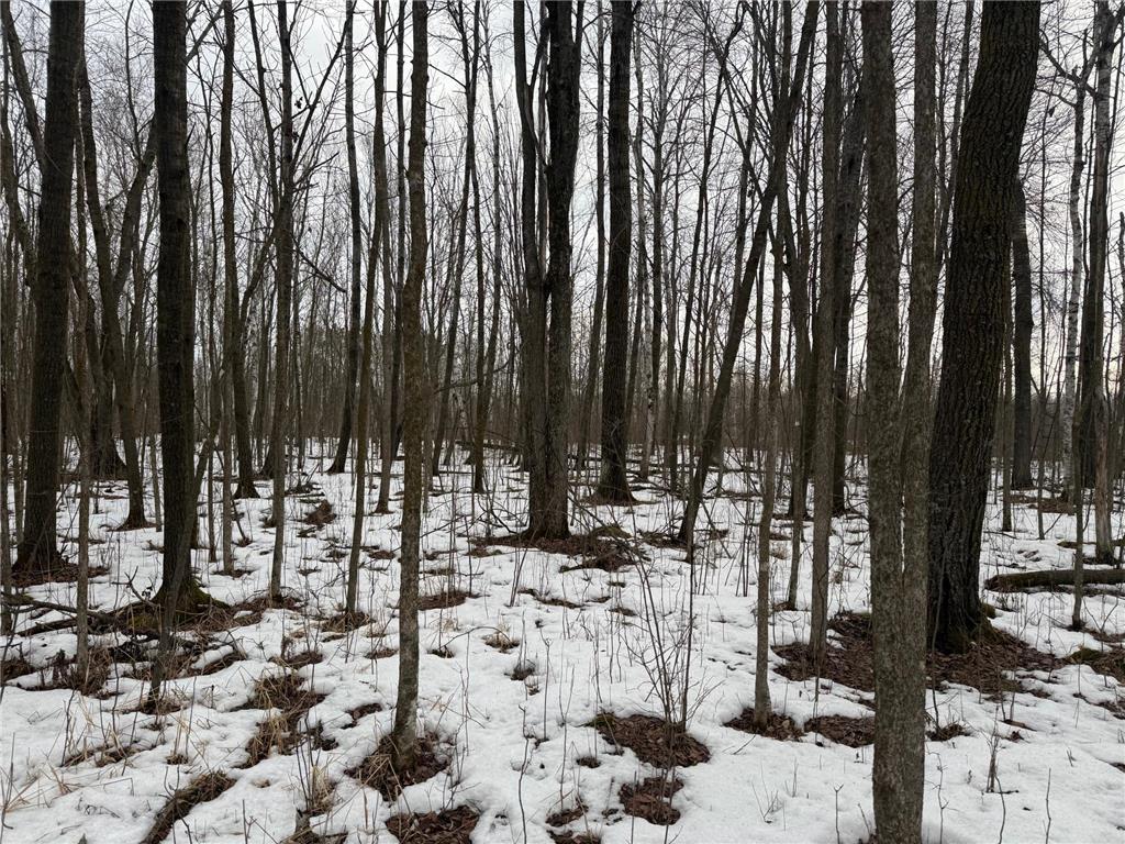 NA Friesland Dell Grove Twp MN 55037 7038854 image21