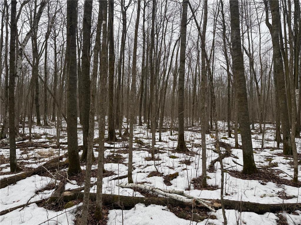 NA Friesland Dell Grove Twp MN 55037 7038854 image22
