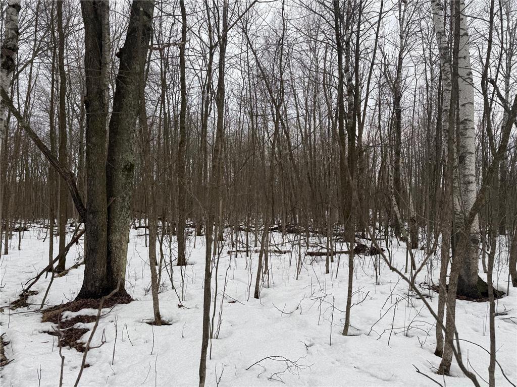 NA Friesland Dell Grove Twp MN 55037 7038854 image24