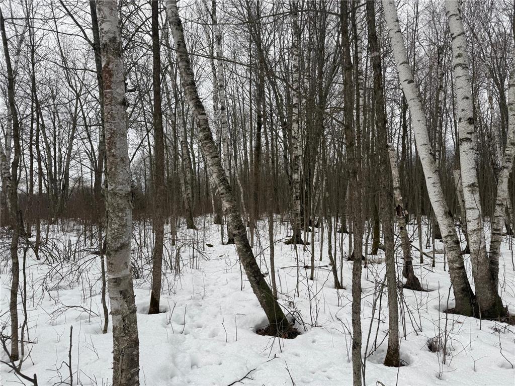 NA Friesland Dell Grove Twp MN 55037 7038854 image25