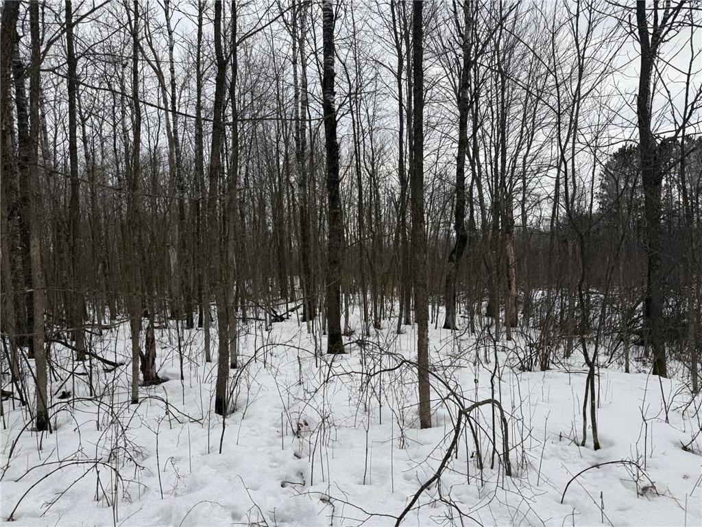 NA Friesland Dell Grove Twp MN 55037 7038854 image26