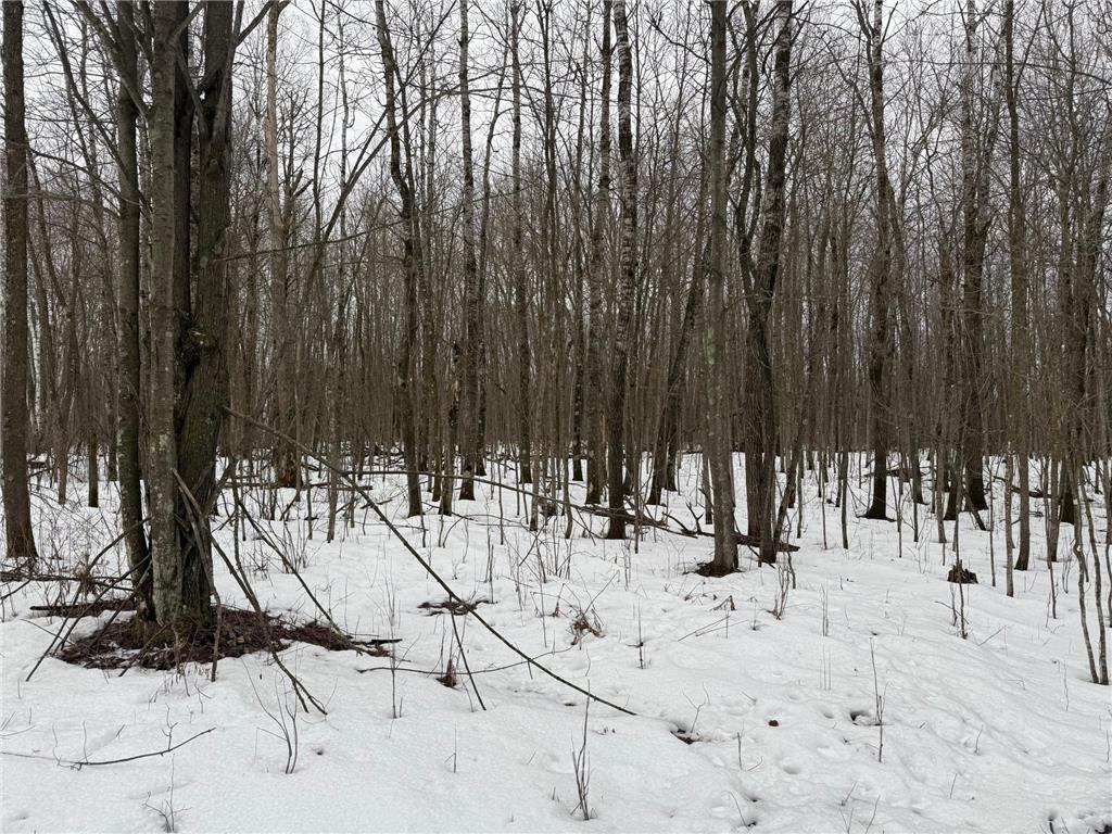 NA Friesland Dell Grove Twp MN 55037 7038854 image27