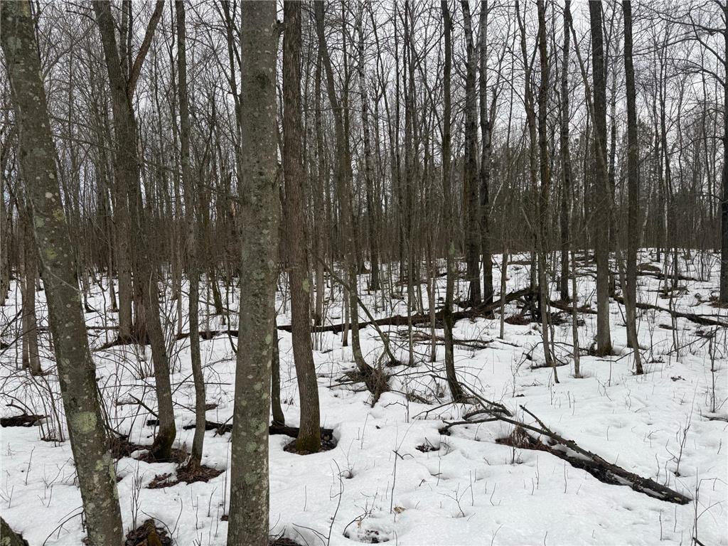 NA Friesland Dell Grove Twp MN 55037 7038854 image28