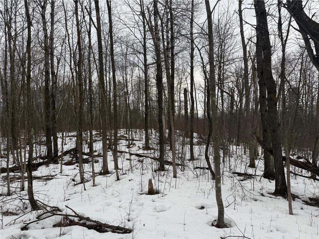 NA Friesland Dell Grove Twp MN 55037 7038854 image29