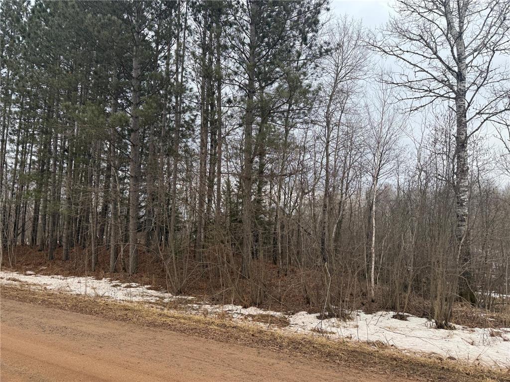 NA Friesland Dell Grove Twp MN 55037 7038854 image3