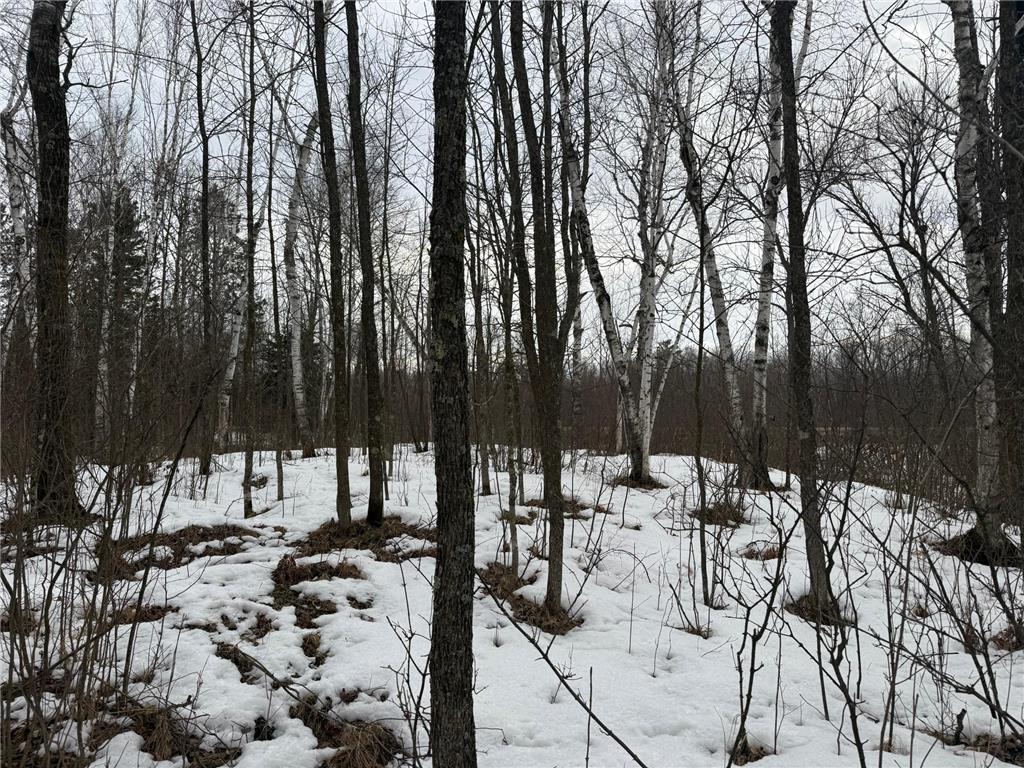 NA Friesland Dell Grove Twp MN 55037 7038854 image30