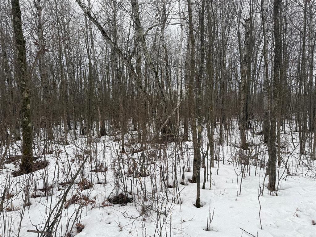 NA Friesland Dell Grove Twp MN 55037 7038854 image31