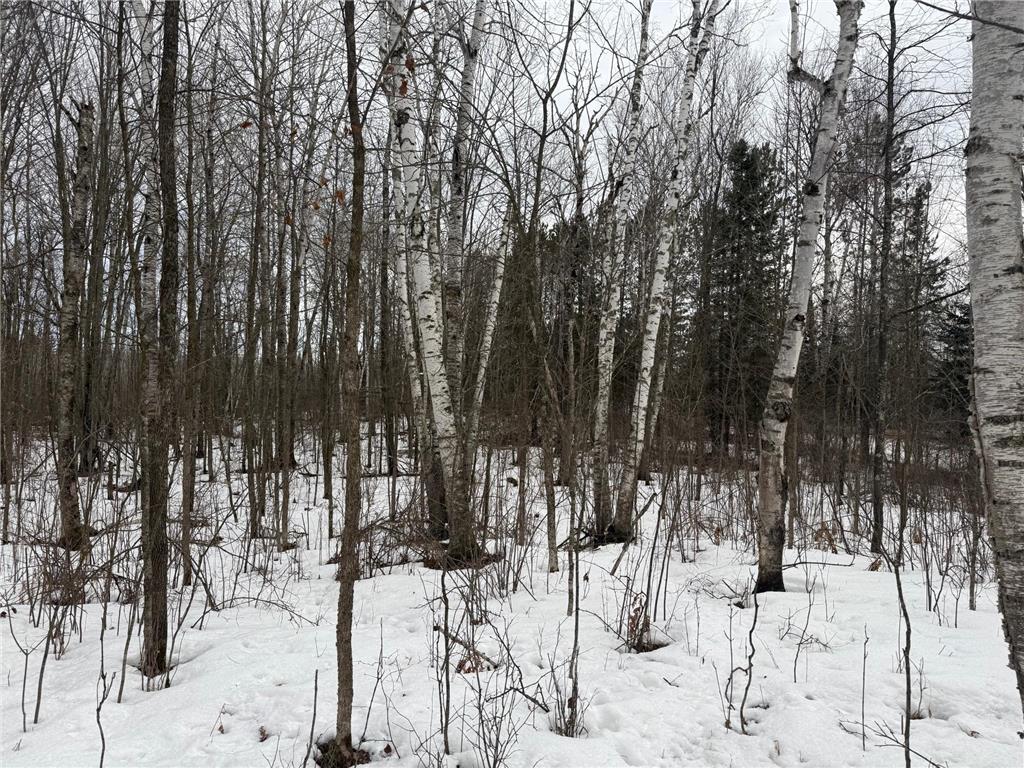 NA Friesland Dell Grove Twp MN 55037 7038854 image32