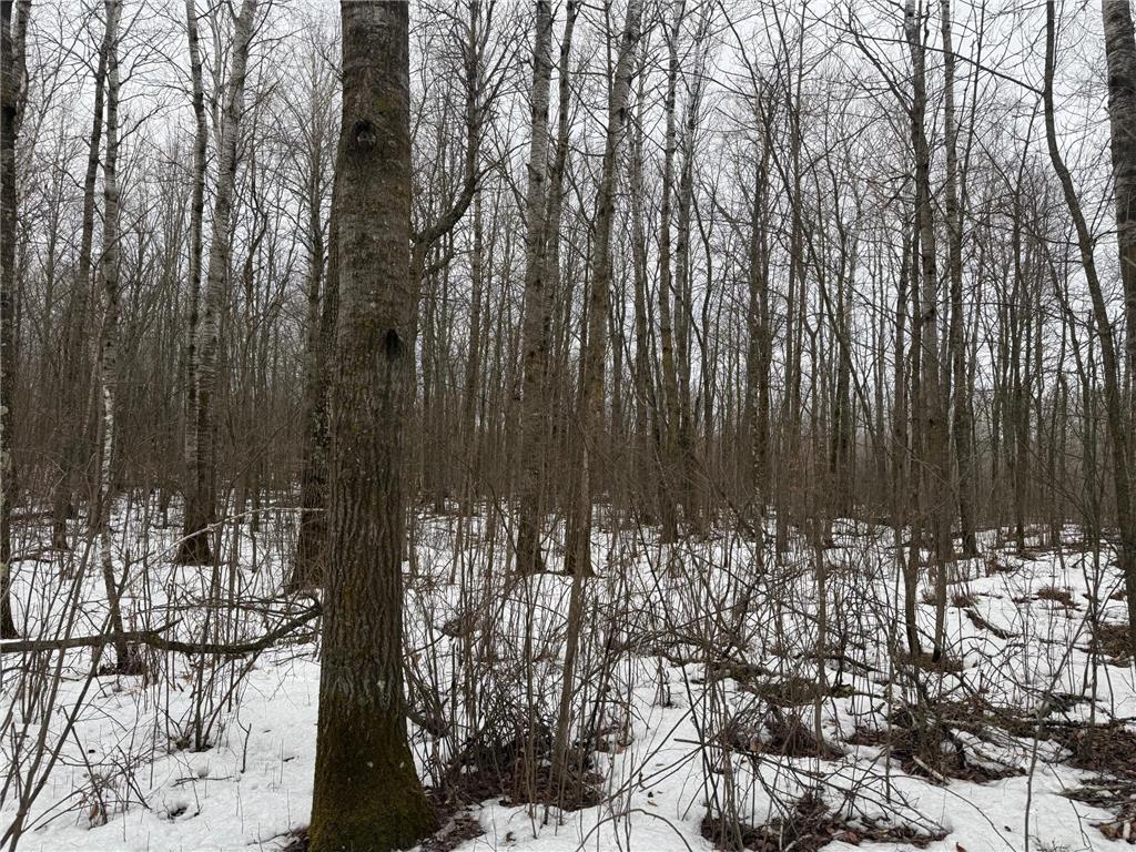NA Friesland Dell Grove Twp MN 55037 7038854 image33