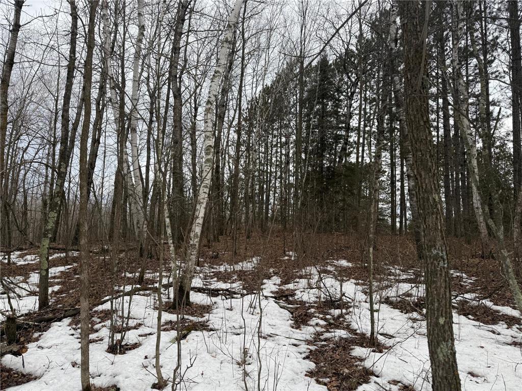 NA Friesland Dell Grove Twp MN 55037 7038854 image34