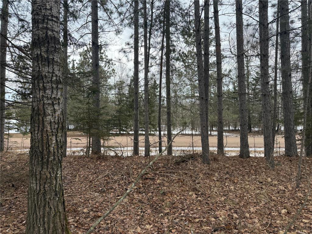 NA Friesland Dell Grove Twp MN 55037 7038854 image35