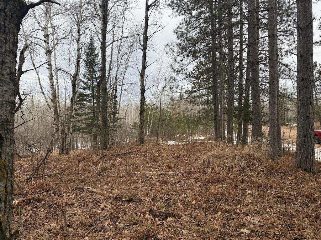 NA Friesland Dell Grove Twp MN 55037 7038854 image36