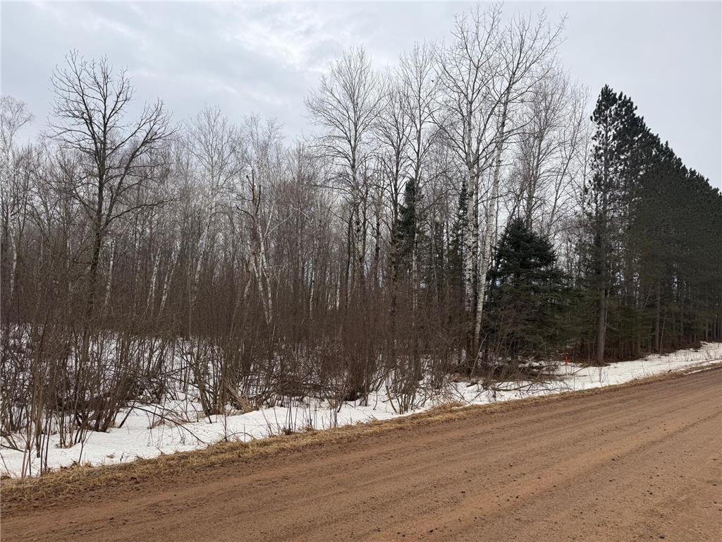 NA Friesland Dell Grove Twp MN 55037 7038854 image4