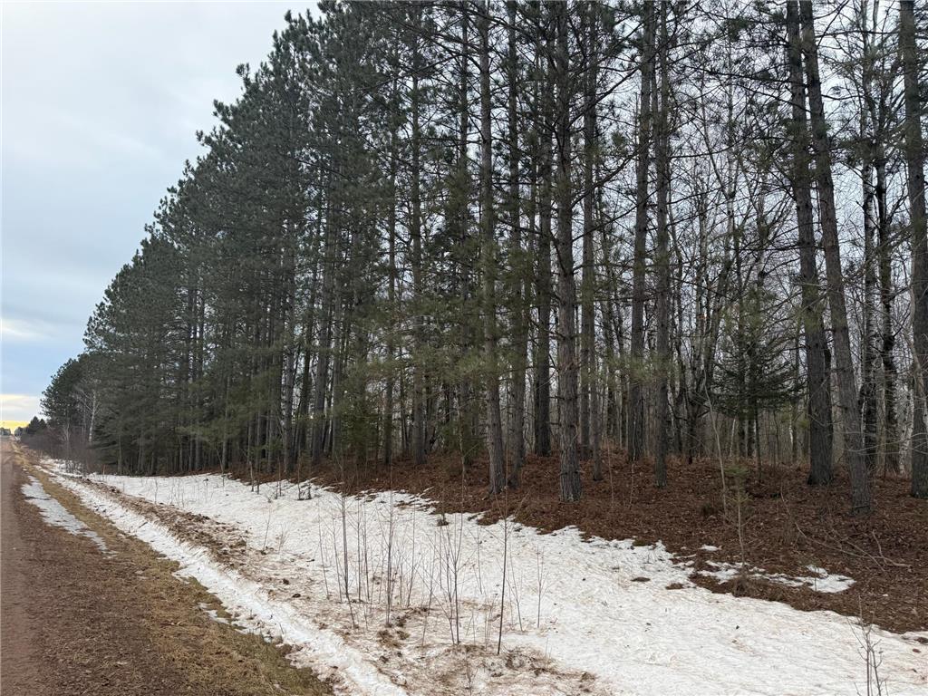 NA Friesland Dell Grove Twp MN 55037 7038854 image6