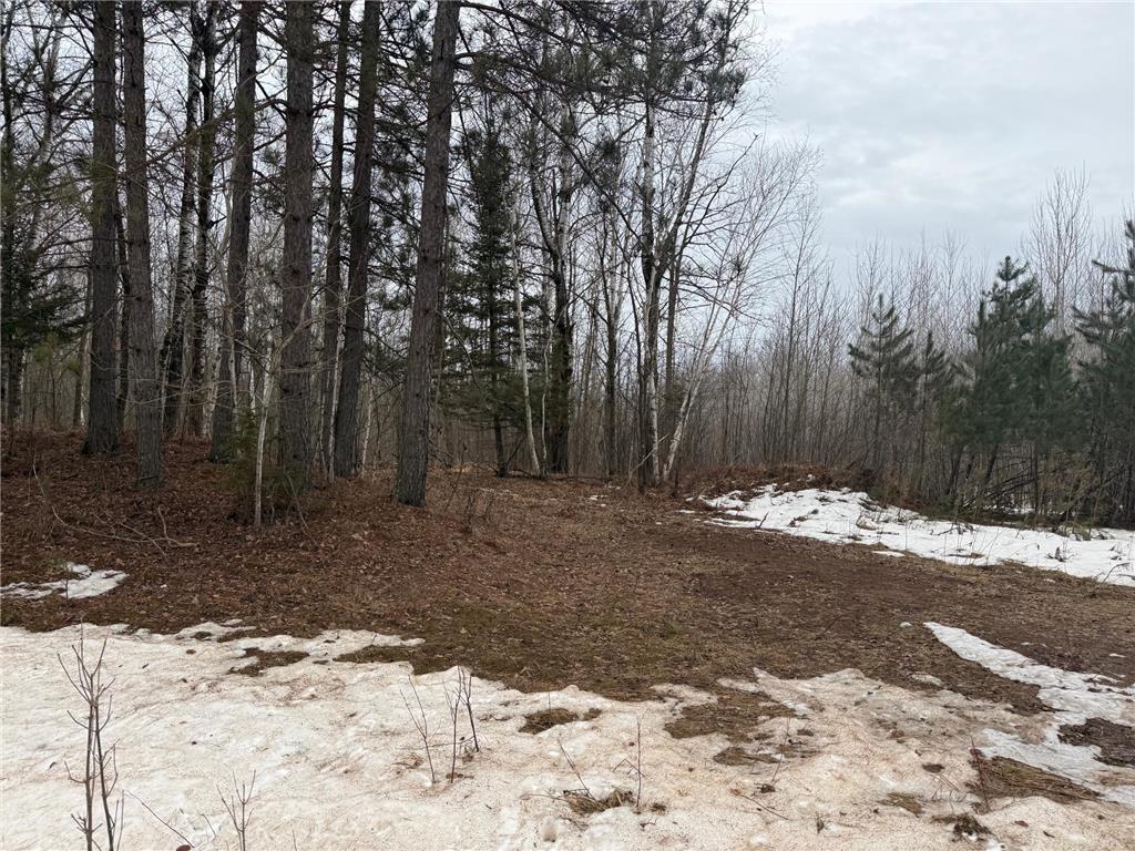 NA Friesland Dell Grove Twp MN 55037 7038854 image7