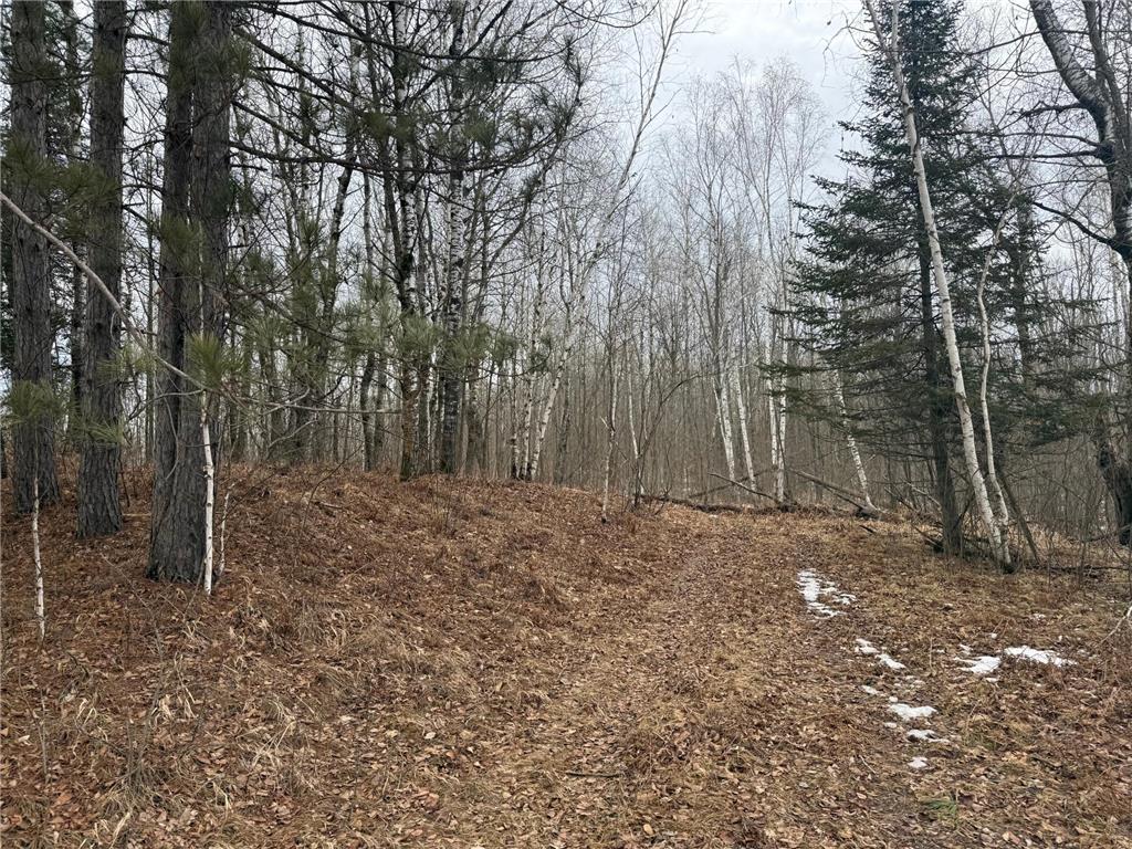 NA Friesland Dell Grove Twp MN 55037 7038854 image8