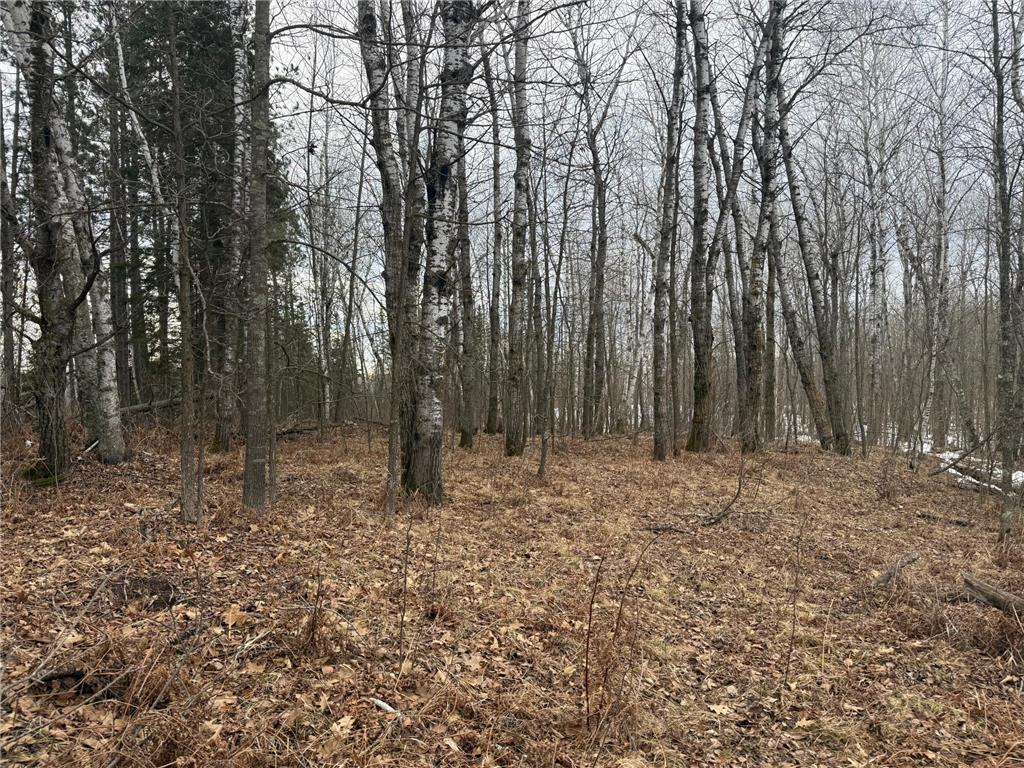 NA Friesland Dell Grove Twp MN 55037 7038854 image9