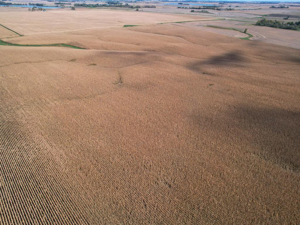 NA Highway 12 SW Shible Twp MN 56208 6802503 image13