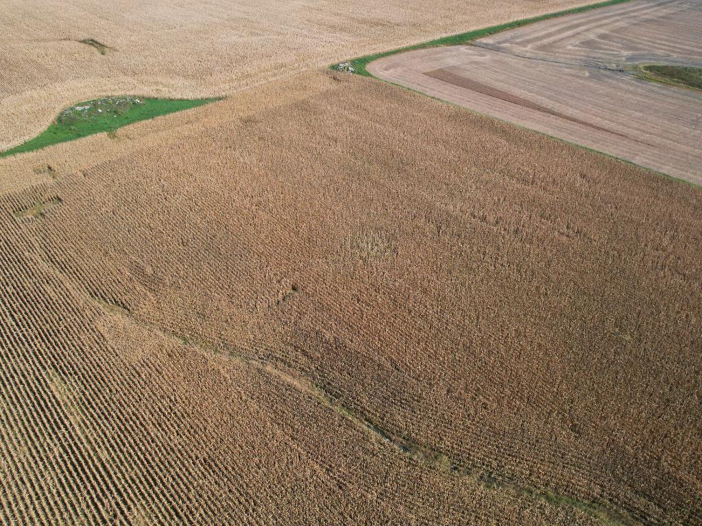 NA Highway 12 SW Shible Twp MN 56208 6802503 image18