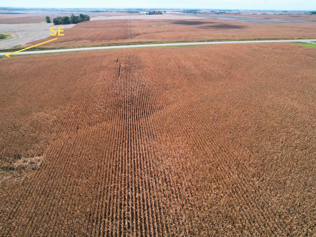 NA Highway 12 SW Shible Twp MN 56208 6802503 image8