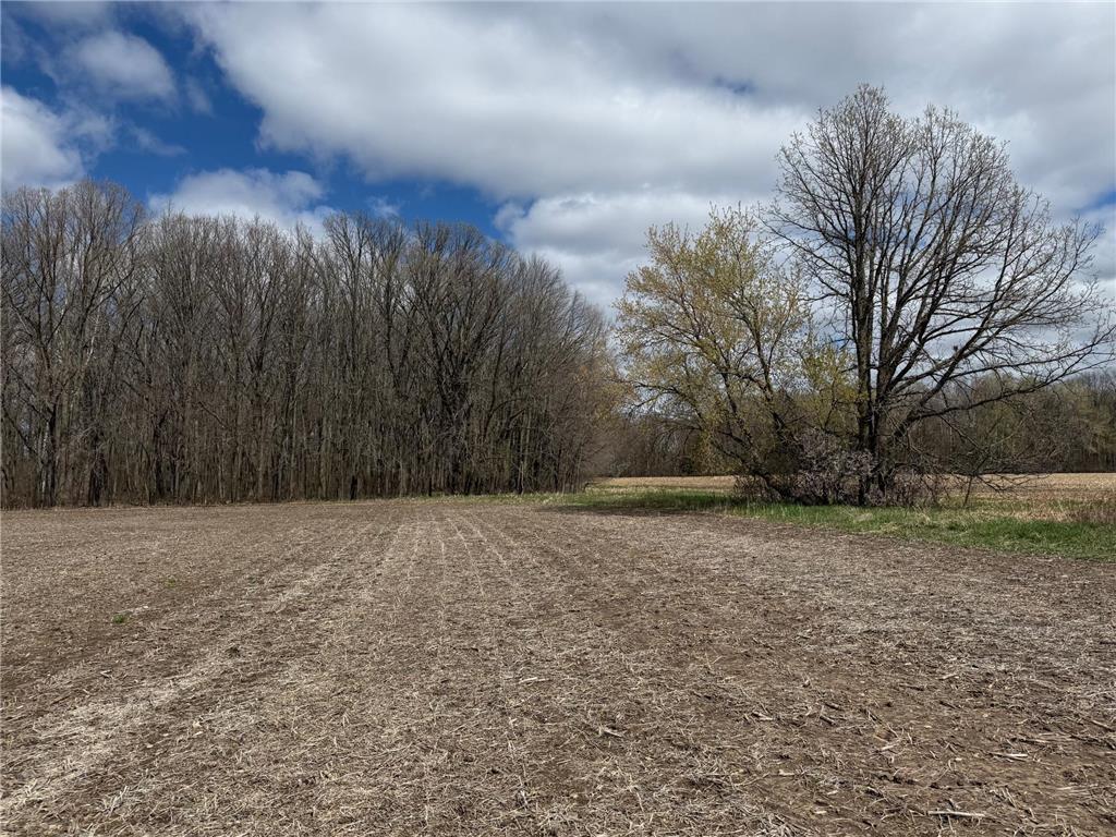 NA NA Chengwatana Twp MN 55063 7066887 image10