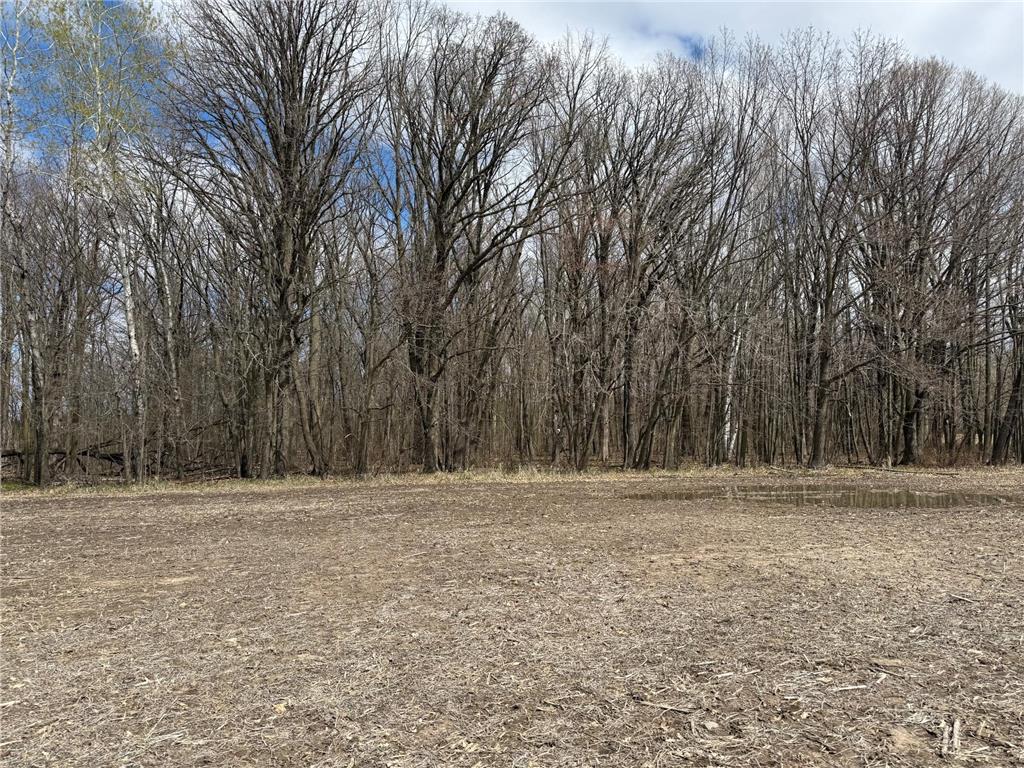 NA NA Chengwatana Twp MN 55063 7066887 image13