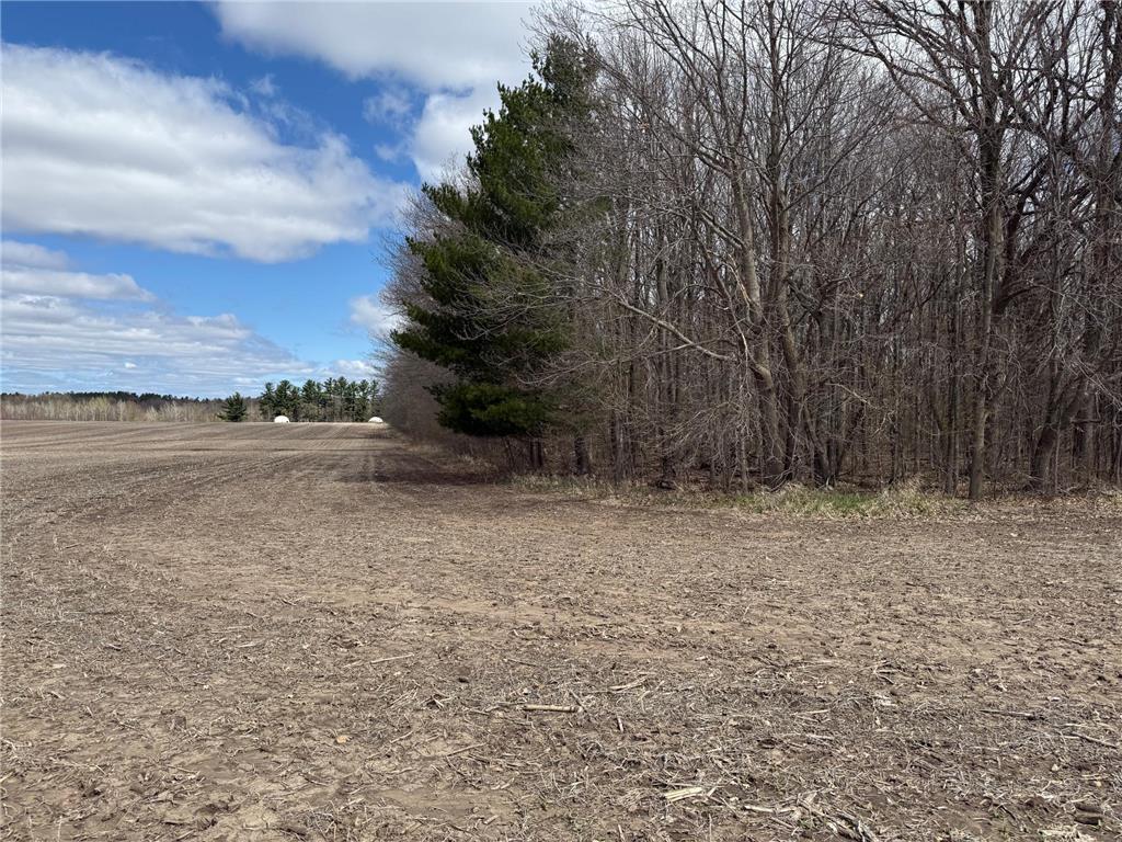NA NA Chengwatana Twp MN 55063 7066887 image14
