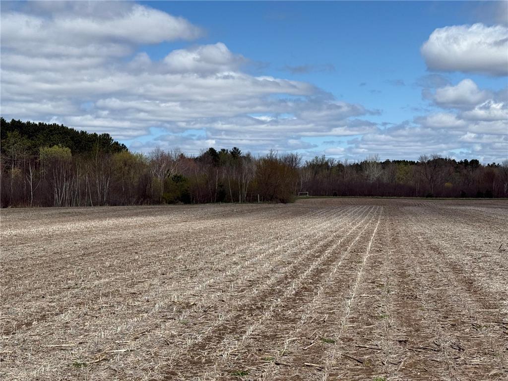 NA NA Chengwatana Twp MN 55063 7066887 image18