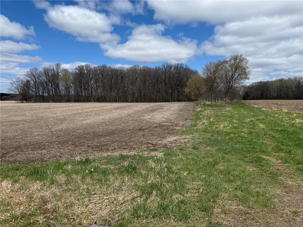 NA NA Chengwatana Twp MN 55063 7066887 image8