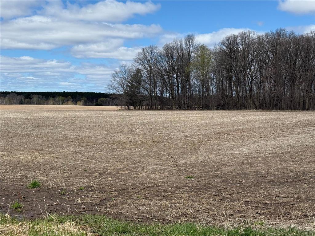 NA NA Chengwatana Twp MN 55063 7066887 image9